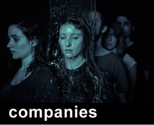 companies